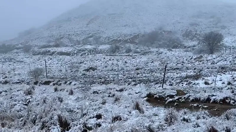 De la neige tombe dans plusieurs régions d'Afrique du Sud — un phénomène naturel exploité par les médias occidentaux
